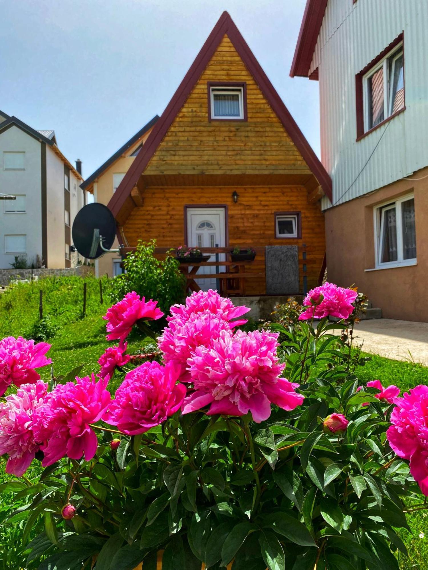 Vikendica My Home 자블야크 외부 사진